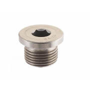 Inch Socket Round Head Parallel Pipe Plugs Stainless-Steel-A4 DIN908G
