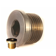 Inch Socket Round Head Parallel Pipe Plugs Brass DIN908G